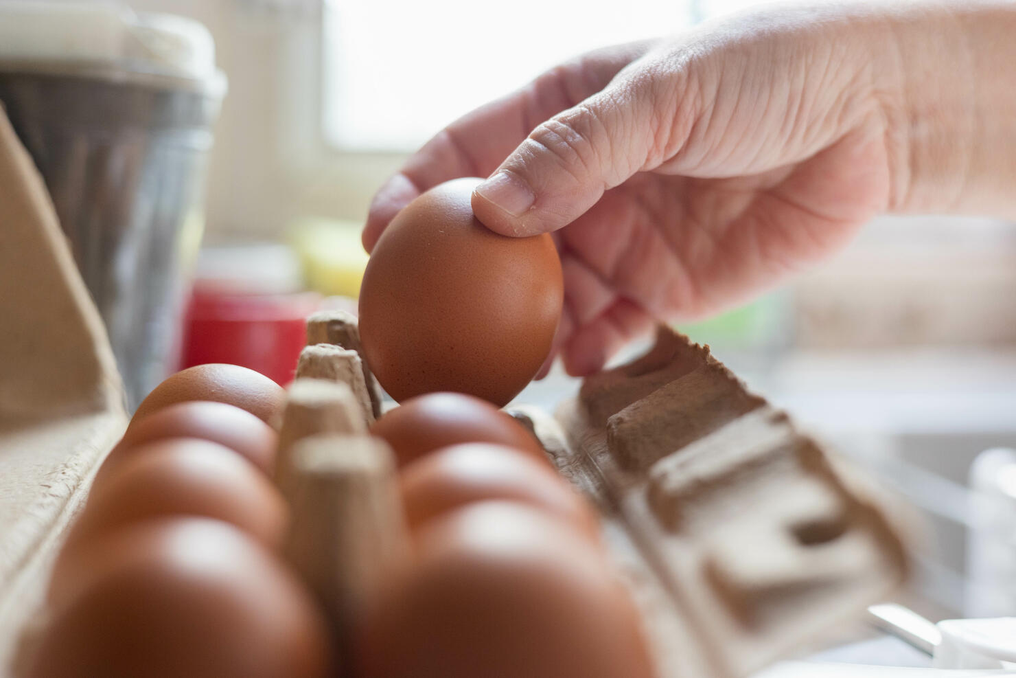 Hand selected Egg in egg box