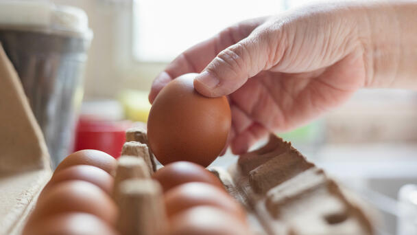 Multi-State Salmonella Outbreak Has Sickened Nearly 100 People This Year
