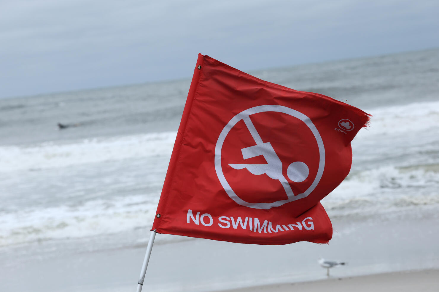Hurricane Erin Stirs Up Surf Along East Coast As Storm Moves North