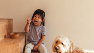  Most Common Things Pets Swallow & Vet Bills Behind Them