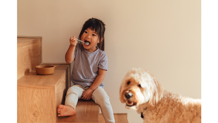Cute Asian little girl eating yoghurt sitting on the stairs with her dog