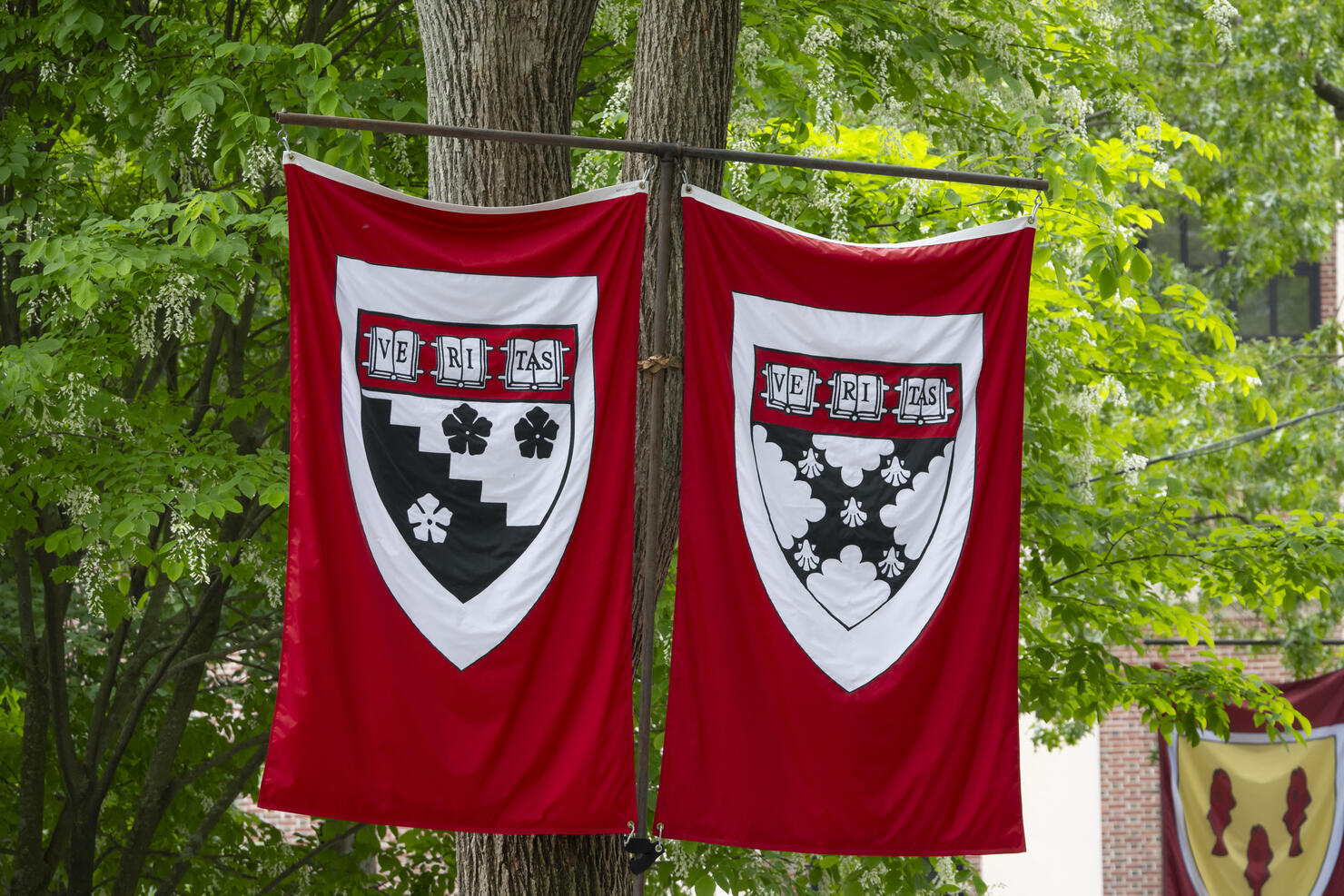 US-EDUCATION-HARVARD-GRADUATION
