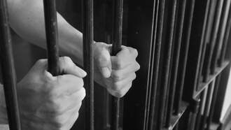 Bronx Man Sentenced for Dog's Death in Albany