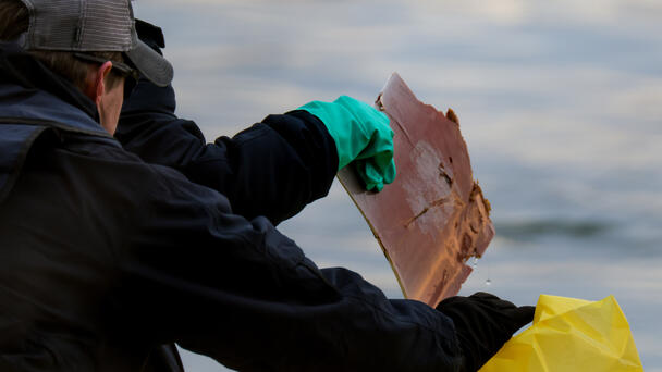 Man Walking His Dog Finds Possible Piece Of DC Plane Crash Wreckage