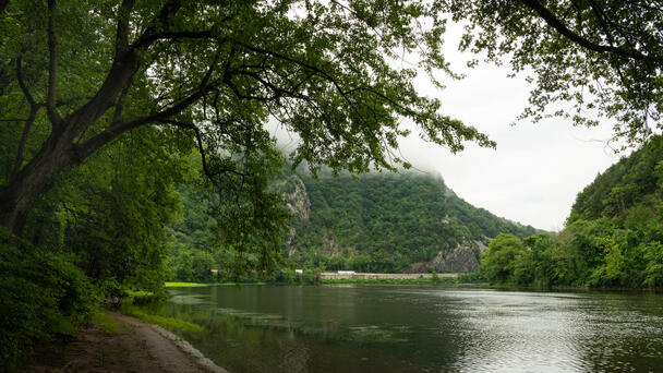 Man Drowns While Trying To Swim Across River Near Family Picnic Area