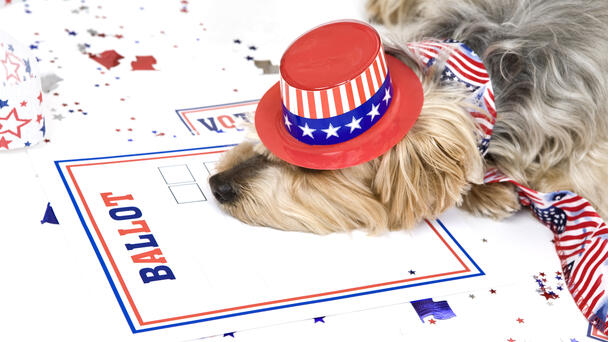 Woman Faces Charges After Registering Dog To Vote, Sharing Ballot Photo