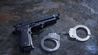 Florida Homeowner Arrested For Allegedly Pointing Gun At Teen During Prank