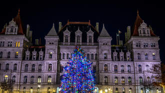 Local News - NYS Holiday Tree Begins Journey to Albany Capitol