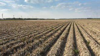 State Expands Drought Watch to More Counties