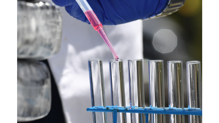 HONDURAS-DRUGS-INCINERATION