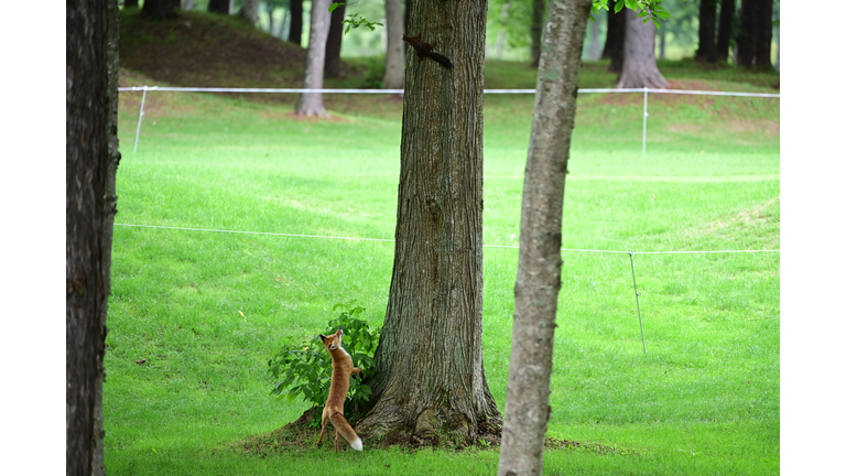 NITORI LADIES - Round Two