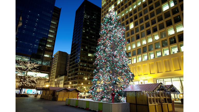 Chicago Christmas Tree at Daley Plaza