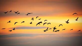 Daylight Saving Time? Don't Need it...