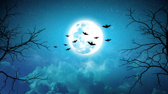 What Do The Teal Pumpkins Mean For Halloween?