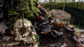 Knapp's News 9/28/25