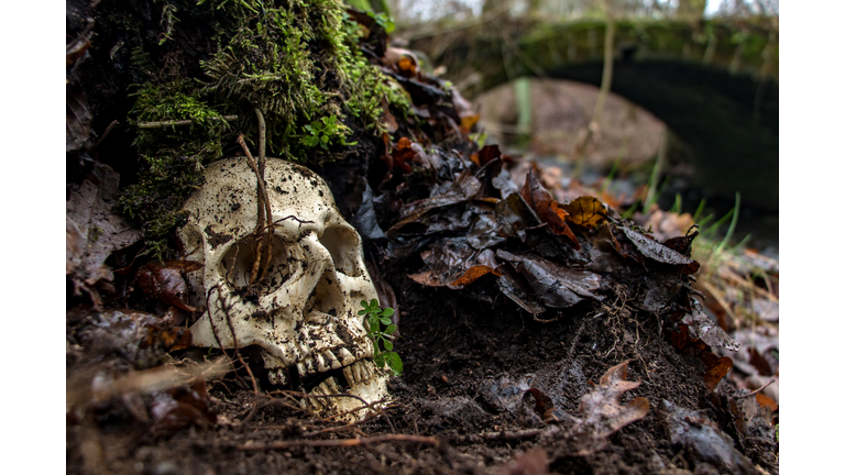 Knapp's News 9/28/25