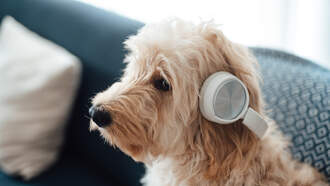 Happy International Podcast Day!