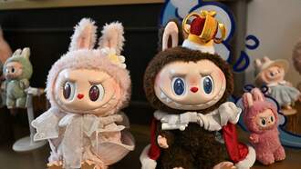 Labubu Craze Over Already? Goodwill Worker Says They're Flooded With Them