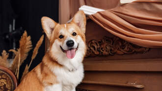 Happy Kids Music Day!