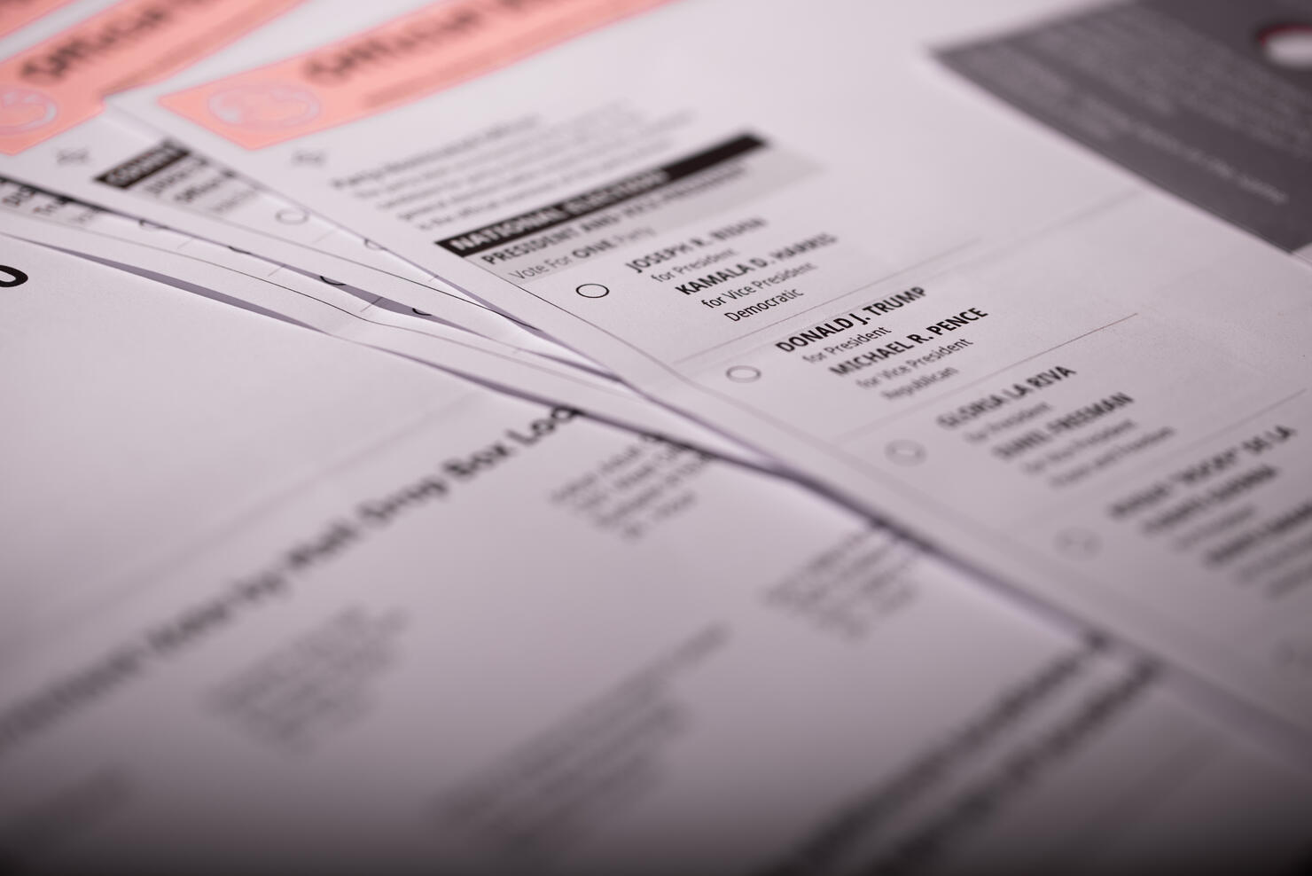 Filling out a ballot form to vote for an election during 2020