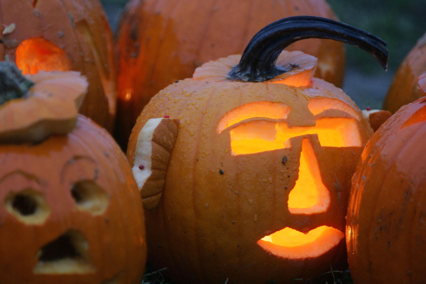 Boston Holds Pumpkin Festival