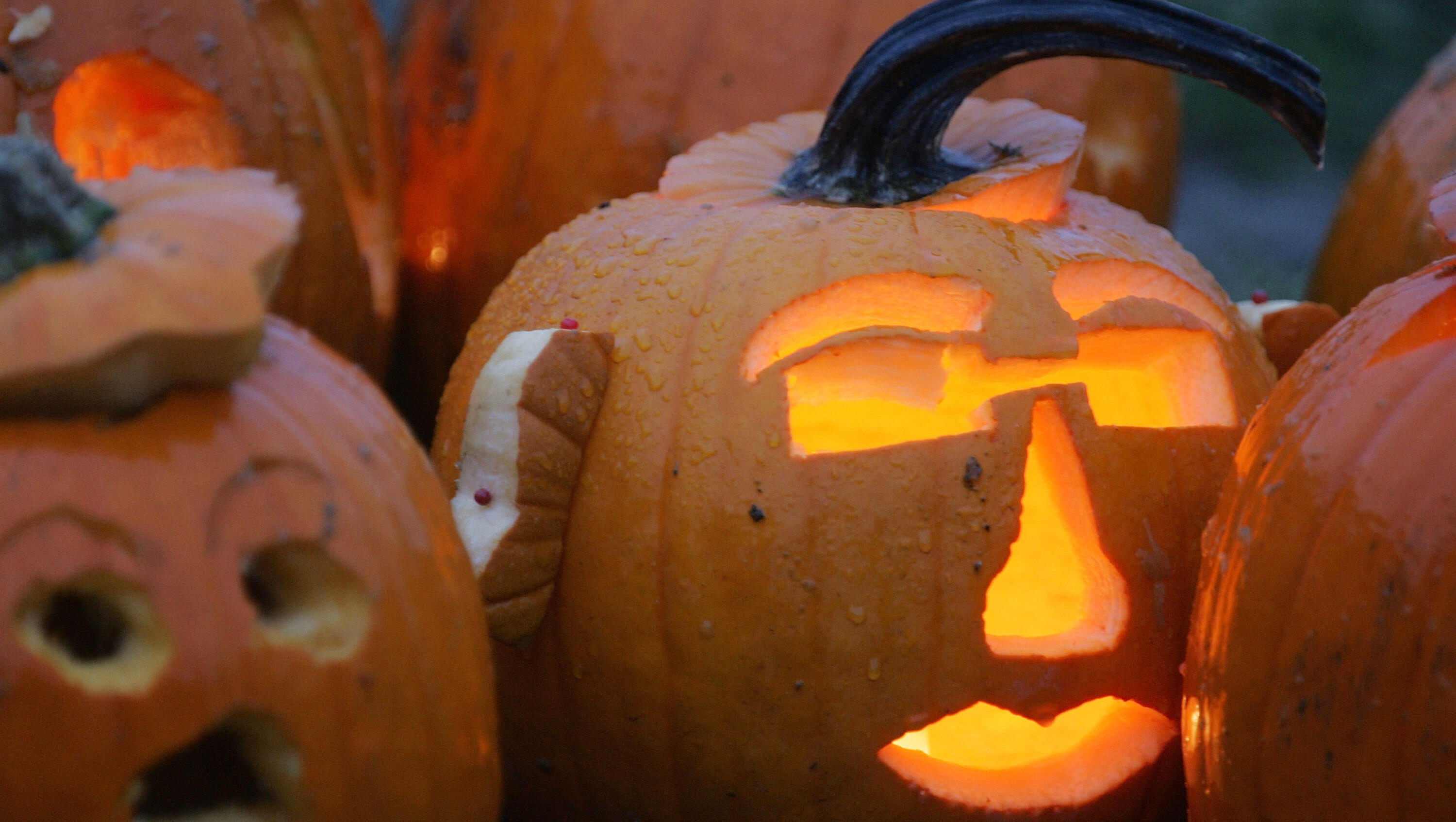 Terri Hardin Art with Pumpkins!