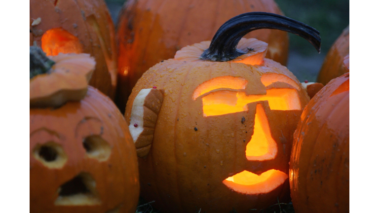 Boston Holds Pumpkin Festival