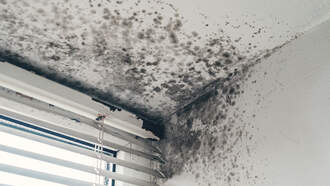 MacDill AFB Families Sue Housing Company Over Toxic Mold Concerns