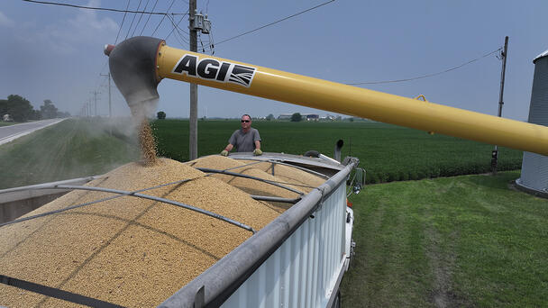 Iowa Soybean Association Says Farmers Need Market Certainty