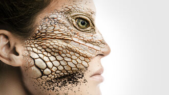 Reptilian Encounters