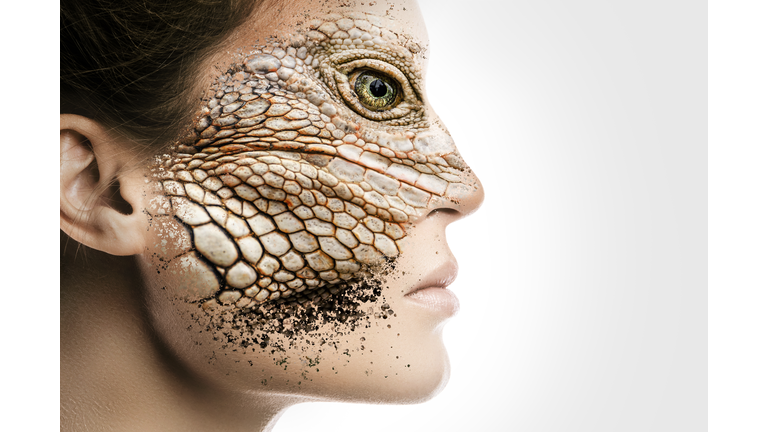 Reptilian Encounters