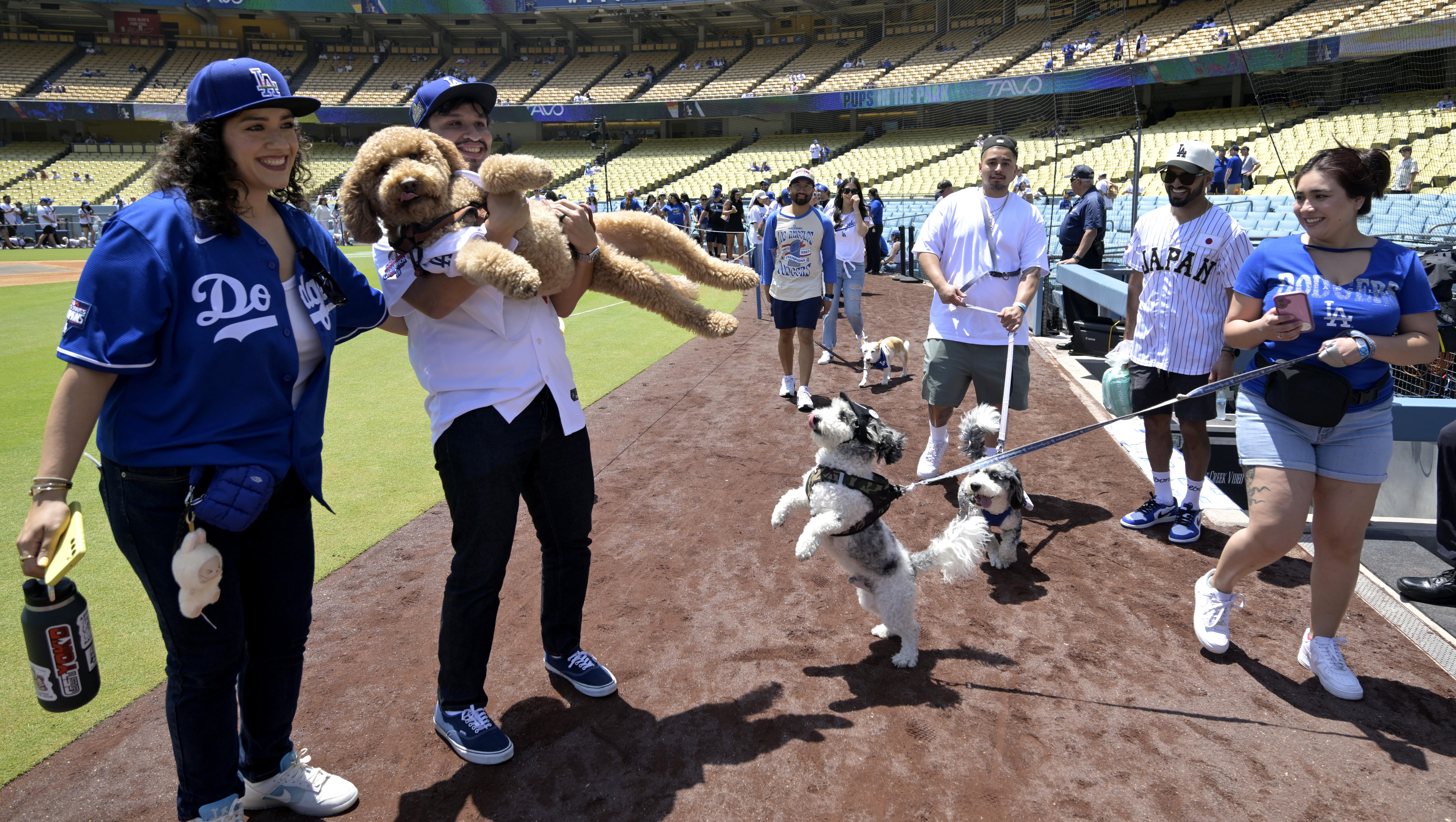 Meet Our All-Star Pup Ready to Steal Your Heart: Freddie Freeman