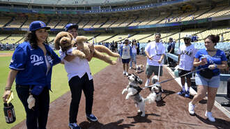 Meet Our All-Star Pup Ready to Steal Your Heart: Freddie Freeman