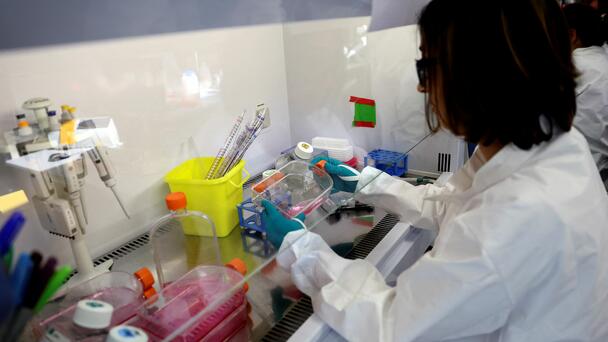 UMass Researchers Announce Development Of Cancer Prevention Vaccine