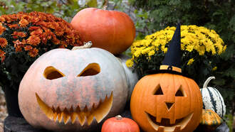 Halloween Trick-or-Treat in Central PA!