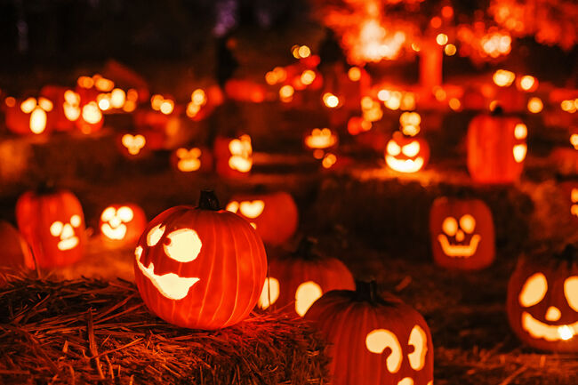 Pumpkins glow eerily under autumn night sky during Halloween celebrations