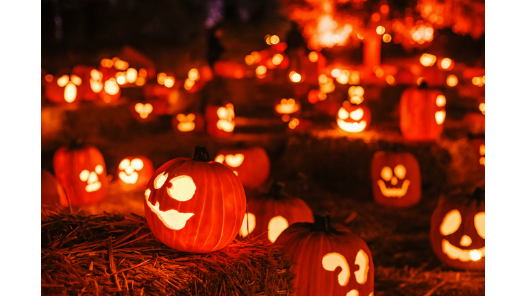 Pumpkins glow eerily under autumn night sky during Halloween celebrations