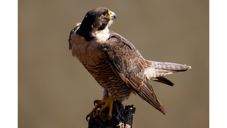 General Views In New York