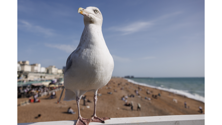 The South Of England Basks In Unseasonably Warm Weather As Torrential Rain Sweeps Scotland