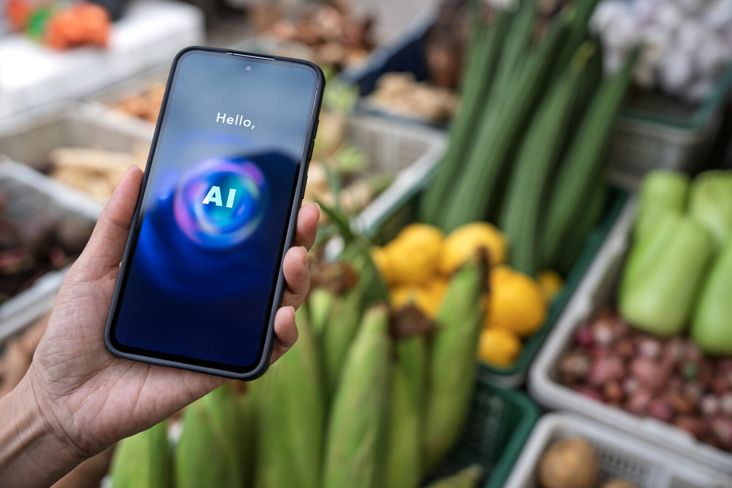 Tourist Using AI Chatbot to Identify Vegetables at Local Market