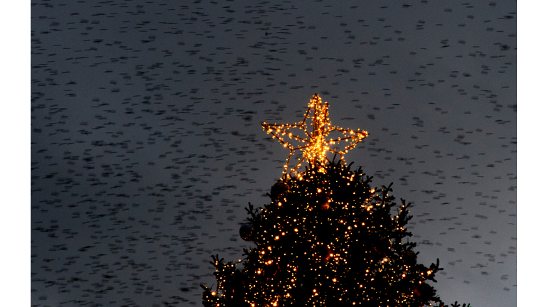 ITALY-HEALTH-VIRUS-CHRISTMAS