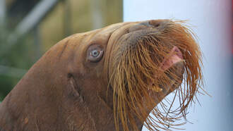 The Situation on Friday 10-17-25