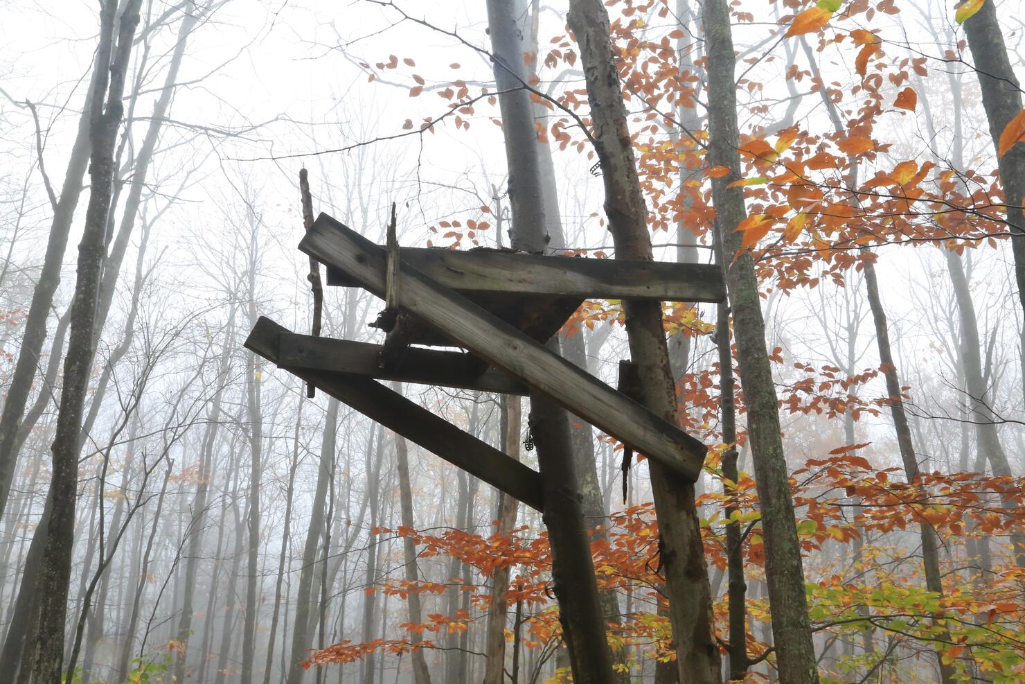 Hunters tree stand in the wilderness