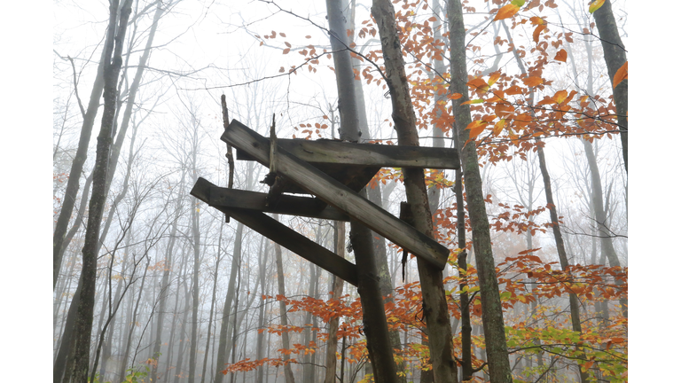 Hunters tree stand in the wilderness