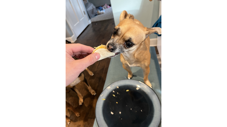 Chi taco