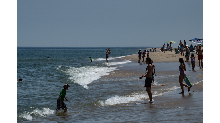 US-ANIMAL-ENVIRONMENT-SHARKS