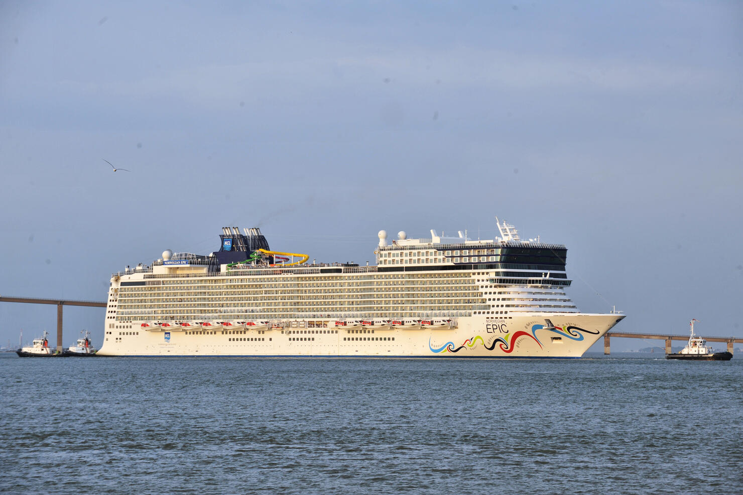 A pîcture taken on June 17, 2010 shows t