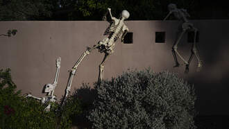 Florida Home Puts Up Skeleton Strip Show Display & The HOA Approves It!