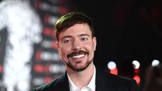 Jeff Stevens - YouTuber MrBeast Shut Down Disneyland