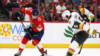 Panthers vs. Ducks Prediction & Picks - Oct. 28